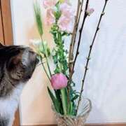 ヒメ日記 2026/03/01 20:57 投稿 ひびき 大塚 虹いろ回春