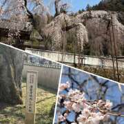 ヒメ日記 2026/03/25 07:07 投稿 ひびき 大塚 虹いろ回春