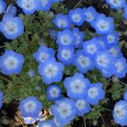 ヒメ日記 2026/04/16 06:44 投稿 ひびき 大塚 虹いろ回春