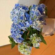 ヒメ日記 2026/05/10 17:36 投稿 ひびき 大塚 虹いろ回春