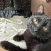 ヒメ日記 2025/06/28 10:59 投稿 あいり 妖精（ようせい）