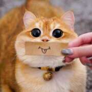 ヒメ日記 2025/11/01 20:56 投稿 あいり 妖精（ようせい）