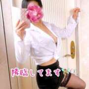 ヒメ日記 2025/08/20 09:18 投稿 あん 妖精（ようせい）