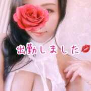 ヒメ日記 2025/08/24 08:55 投稿 あん 妖精（ようせい）