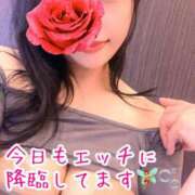 ヒメ日記 2025/10/13 09:05 投稿 あん 妖精（ようせい）