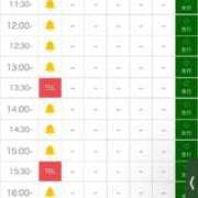 ヒメ日記 2025/12/29 10:54 投稿 あん 妖精（ようせい）