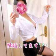 ヒメ日記 2026/02/18 11:05 投稿 あん 妖精（ようせい）