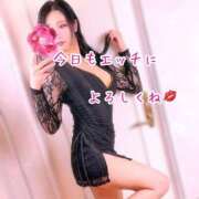 ヒメ日記 2026/04/21 09:55 投稿 あん 妖精（ようせい）