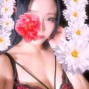 ヒメ日記 2026/09/09 14:39 投稿 あん 妖精（ようせい）