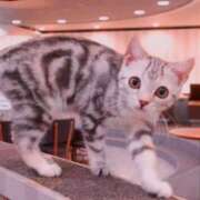 ヒメ日記 2025/06/17 17:06 投稿 える 東京アロマスタイル