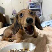 ヒメ日記 2025/06/23 13:17 投稿 小野しいな 西川口風俗ド淫乱ンド