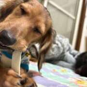 ヒメ日記 2025/07/10 13:31 投稿 小野しいな 西川口風俗ド淫乱ンド