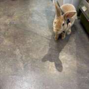 ヒメ日記 2025/07/12 16:57 投稿 小野しいな 西川口風俗ド淫乱ンド