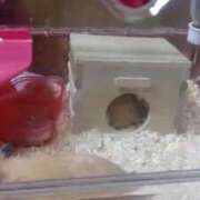 ヒメ日記 2025/07/14 09:27 投稿 小野しいな 西川口風俗ド淫乱ンド