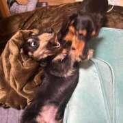 ヒメ日記 2025/07/15 14:50 投稿 小野しいな 西川口風俗ド淫乱ンド