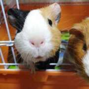 ヒメ日記 2025/07/19 12:57 投稿 小野しいな 西川口風俗ド淫乱ンド