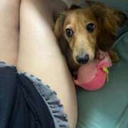 ヒメ日記 2025/10/10 23:31 投稿 小野しいな 西川口風俗ド淫乱ンド