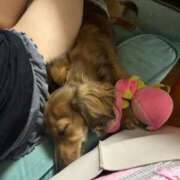 ヒメ日記 2025/10/11 00:03 投稿 小野しいな 西川口風俗ド淫乱ンド