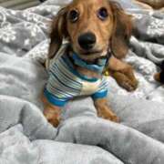 ヒメ日記 2025/10/11 00:09 投稿 小野しいな 西川口風俗ド淫乱ンド