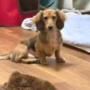 ヒメ日記 2025/10/20 01:37 投稿 小野しいな 西川口風俗ド淫乱ンド