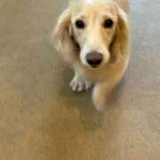 ヒメ日記 2025/11/01 00:55 投稿 小野しいな 西川口風俗ド淫乱ンド