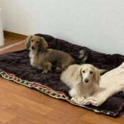 ヒメ日記 2026/01/28 19:02 投稿 小野しいな 西川口風俗ド淫乱ンド