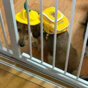 ヒメ日記 2026/02/06 16:28 投稿 小野しいな 西川口風俗ド淫乱ンド