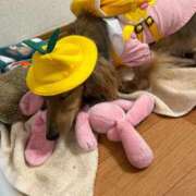 小野しいな 呪い 西川口風俗ド淫乱ンド