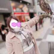 ヒメ日記 2025/12/14 18:27 投稿 ♡ユズ♡ ラブ♡エル