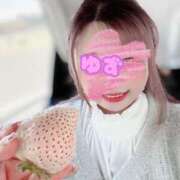 ヒメ日記 2026/02/18 22:16 投稿 ♡ユズ♡ ラブ♡エル