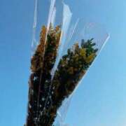 ヒメ日記 2026/03/05 22:45 投稿 ♡ユズ♡ ラブ♡エル