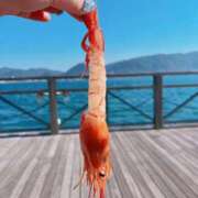 ヒメ日記 2026/03/23 02:00 投稿 ♡ユズ♡ ラブ♡エル