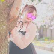 ヒメ日記 2026/04/11 08:39 投稿 ♡ユズ♡ ラブ♡エル