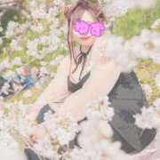 ヒメ日記 2026/04/14 09:25 投稿 ♡ユズ♡ ラブ♡エル