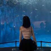 ヒメ日記 2025/07/31 16:59 投稿 なぎさ 妖精（ようせい）