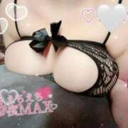 ヒメ日記 2025/12/19 16:05 投稿 しほ ぷるるんギャング