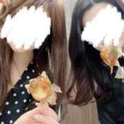 ヒメ日記 2025/11/11 23:55 投稿 りんか 妖精（ようせい）