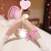 ヒメ日記 2025/08/04 15:57 投稿 かこ フェアリー【都城店】