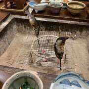 ヒメ日記 2025/11/27 13:53 投稿 まゆみ★SS級女子アナ系美少女 渋谷S級素人清楚系デリヘル chloe