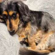 ヒメ日記 2025/11/27 01:32 投稿 まゆみ★SS級女子アナ系美少女 Chloe五反田本店　S級素人清楚系デリヘル