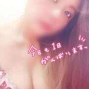 ヒメ日記 2025/06/15 08:24 投稿 りお 妖精（ようせい）