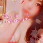 ヒメ日記 2025/07/07 08:12 投稿 りお 妖精（ようせい）