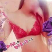 ヒメ日記 2025/07/29 10:38 投稿 りお 妖精（ようせい）