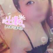 ヒメ日記 2025/08/15 08:03 投稿 りお 妖精（ようせい）