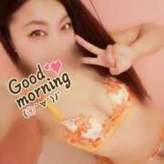 ヒメ日記 2025/09/19 08:15 投稿 りお 妖精（ようせい）