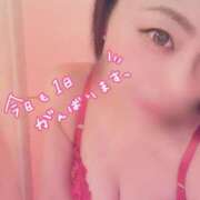 ヒメ日記 2025/09/22 08:06 投稿 りお 妖精（ようせい）