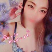 ヒメ日記 2025/11/22 07:58 投稿 りお 妖精（ようせい）