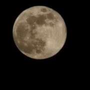 ヒメ日記 2026/01/03 17:52 投稿 りお 妖精（ようせい）