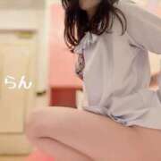 ヒメ日記 2025/06/24 07:30 投稿 らん 妖精（ようせい）