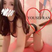 ヒメ日記 2025/09/20 10:06 投稿 らん 妖精（ようせい）